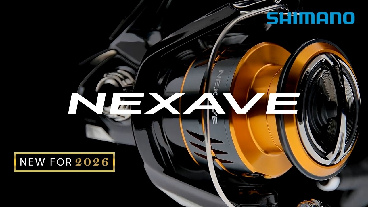 なるしま 2026 NEXAVE | Shimano Beginner-Friendly Spinning Reel - YouTube