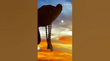 اناشيد ليتني في سرب الحمامي 