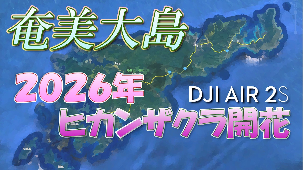 【ドローン 4K HDR映像】奄美大島･2026年桜開花(昇り龍･本茶峠･フォレストポリス)