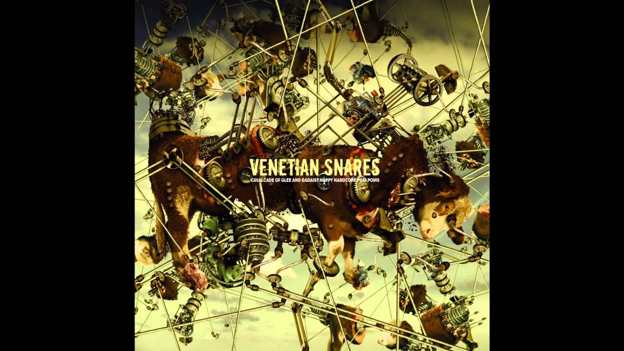 Venetian Snares remix by koopz