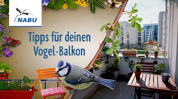 Ist ein Vogelhaus auf dem Balkon erlaubt?