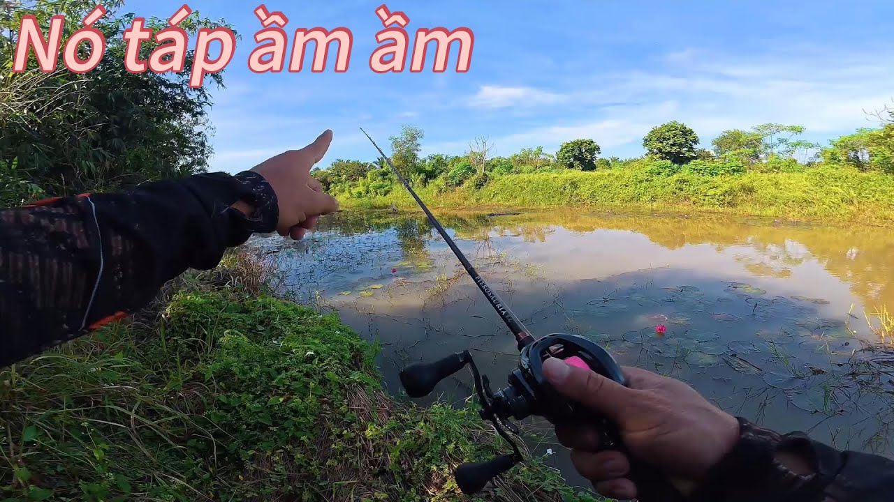 ✅ Câu lure cá lóc có gì vui, nó táp ầm ầm | DUY FISHING SAI GON