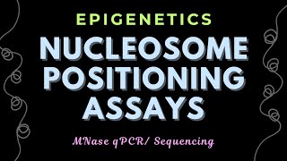 MNase Digestion-qPCR/ sequencing | Nucleosome Positioning Assays | Epigenetics