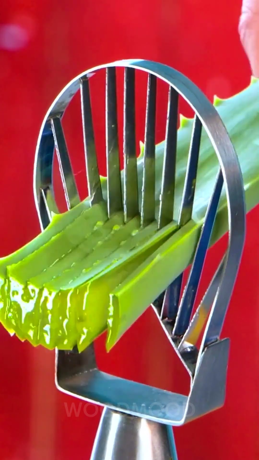 Such a household Hero... Aloe Vera Repair Hacks