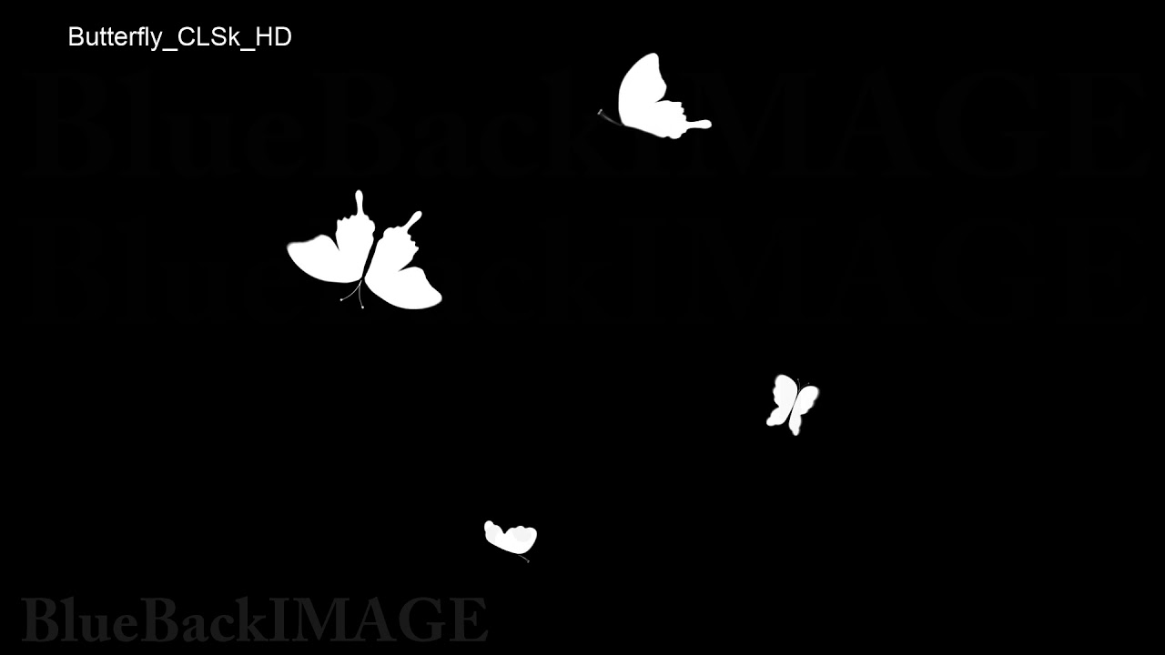 映像素材 動画素材 蝶 バタフライ シルエット キラキラ Butterfly Clsk Hd Youtube