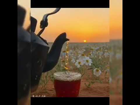أكون نزيلكم وي ضام قلبي وحاشا أن ي ضام لكم نزيل