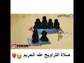 حالات واتس اب مضحكة صلاة التراويح عند الحريم
