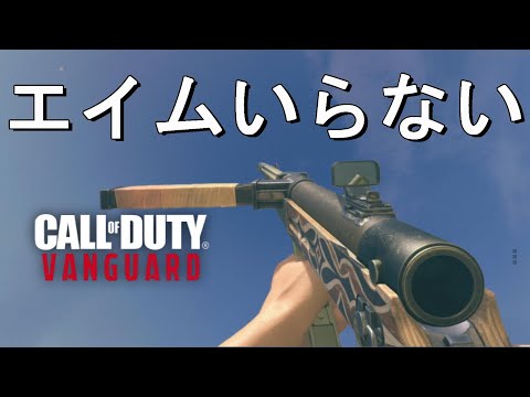 [CoD:V] I sacrificed aim speed for recoil control, and while the recoil is gone, so is my aim.