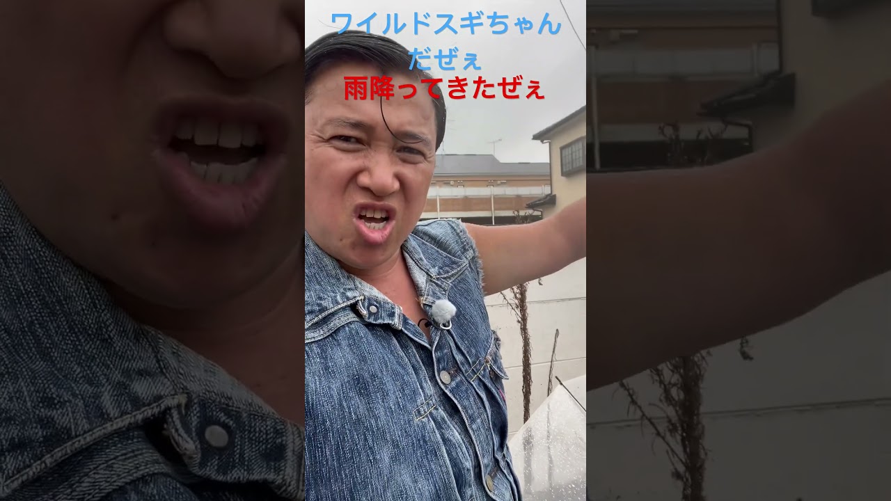 It's Wild Sugi-chan! It's raining! #Sugichan #Arearu #shorts - YouTube