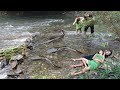 Fishing Video - Build Fish Trap At Stream, Catch Many fish for cooking - Primitive Life