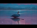 Dimash Kudaibergen ~ The Love Of Tired Swans
