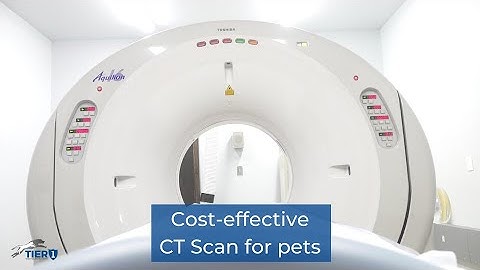 Cost Effectiveness of a CT Scan at Tier 1