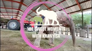 100 Sweet Moments with Baby Elephant, Khanyisa 💖🐘