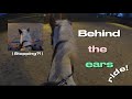Behind the ears ride did i stay or did i go vlog8