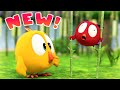 Where's Chicky? NEW SEASON 3 🌺 IS IT SPRING? | Chicky Cartoon in English for Kids