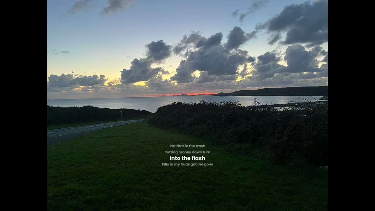 in the past I was last (official lyric video) by savepron (prod.ROD)