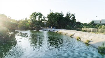 H2O Hackathon Intro Video 2020