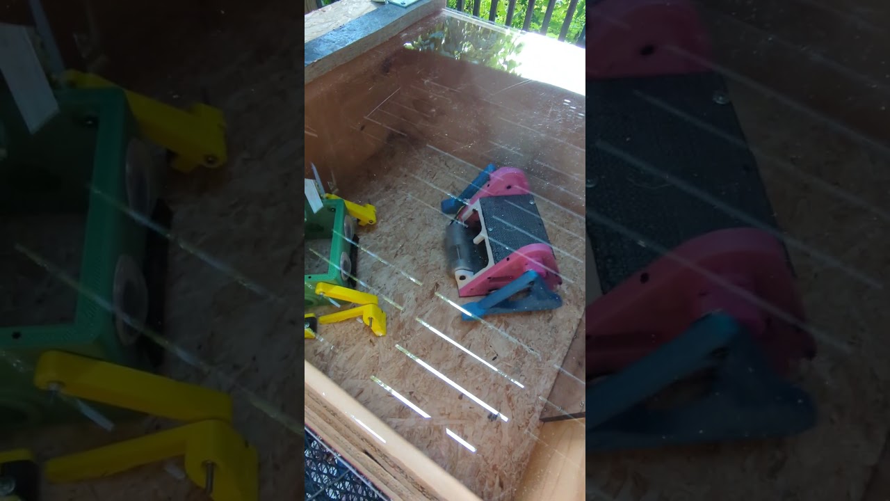 Paws is in training for the next 