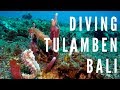 Bali Diving | Tulamben