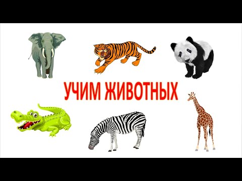 Учим животных жарких стран. Развивающее видео для малышей. Карточки Домана.