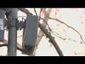 Did Verizon Wireless Jump The Gun On 5G?