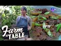 Farm To Table: Chef JR Royol recreates Majayjay, Laguna’s Yapyap recipe