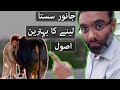 Bakra Mandi Pakistan me Janwar Sassta Khareedne ka Behtareen Asool