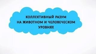 Коллективный разум на животном и человеческом уровнях Коллективный разум на животном и человеческом уровнях