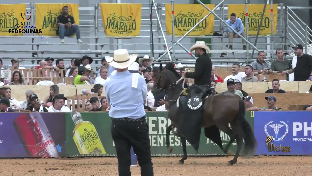 POLA DE SAHARA, CAMPEONA JOVEN TROTE Y GALOPE 42 EXPOSICIÓN NACIONAL EQUINA BUCARAMANGA 2026