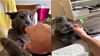 UNUSUAL MEMES COMPILATION ABA #3