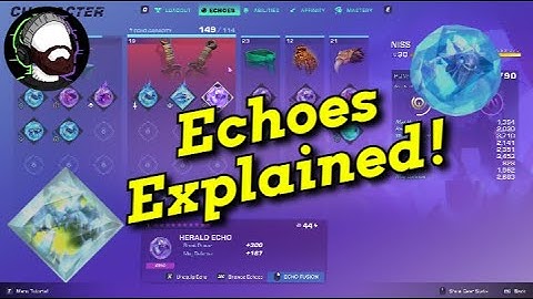 Wayfinder Echo System GUIDE Full Breakdown