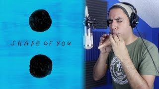 Shape of You - Ed Sheeran - Ocarina Cover || David Erick Ramos chords