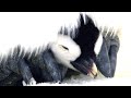 Thousands of Cute Penguin Chicks Hatch | 4K UHD | Dynasties | BBC Earth