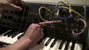 Korg MS-20 self-trigging simple beat #korgms20