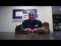 D&B's Safety Director Evaluates Xena Boots