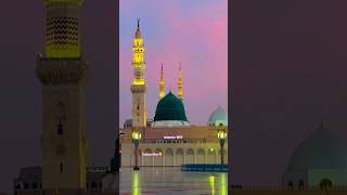 Should You Focus on Toba for SPIRITUAL GROWTH in 2025?