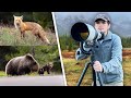 Photographing Bears, Badgers, Moose, &amp; More! - Yellowstone &amp; Grand Teton Spring Wildlife Photography