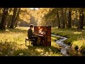 🎵 Field of Release | Instrumental Piano for Letting Go & Moving Forward 🌾🎹