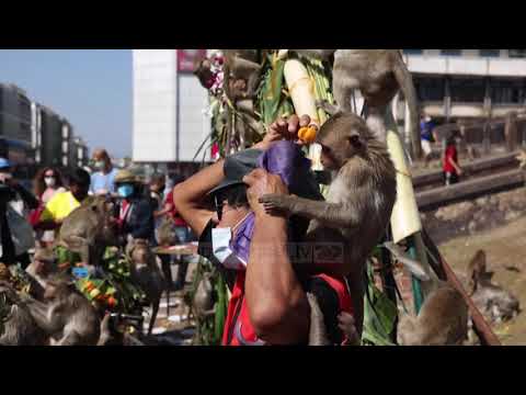 Video: Moti dhe klima në Phuket, Tajlandë