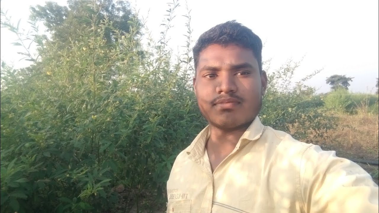 Shetatil Raste Shetatil video 😊 || farmer vlog #video #farmerlife - YouTube