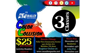 McAllen Parks and Recreation- Color Collision