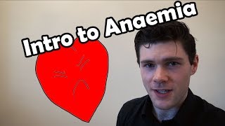 Intro to Anaemia Tutorial screenshot 3