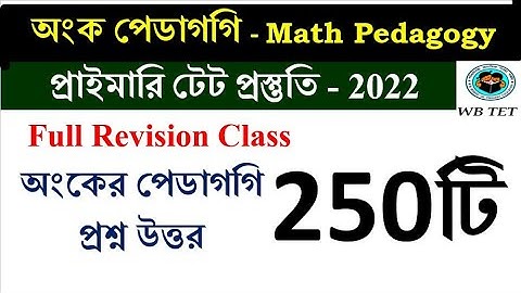 অংকের পেডাগগি math pedagogy | প্রাইমারি টেট | Math Tricks by Hasnat