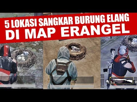 5 LOKASI SANGKAR BURUNG ELANG di MAP ERANGEL PUBG Mobile @geektomz5680