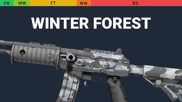 Galil AR Winter Forest - Skin Float And Wear Preview