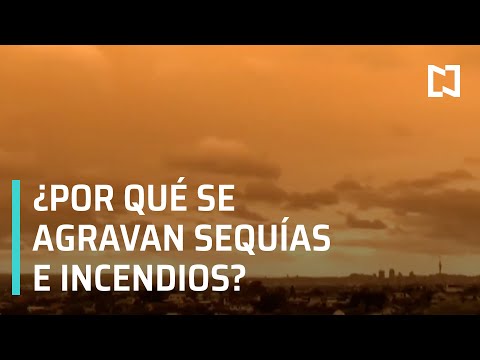 Video: ¿Ha contribuido el cambio climático a los incendios forestales en California?