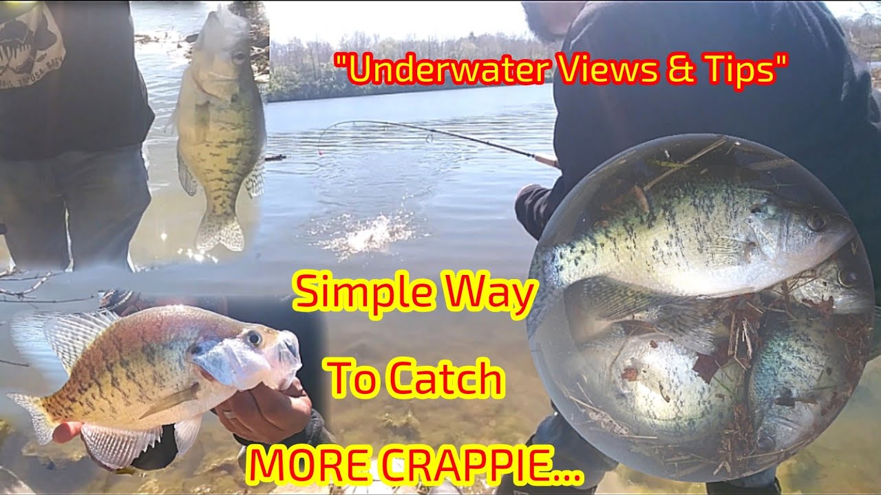 june9.com  Fishing tips, Crappie fishing, Fishing diy