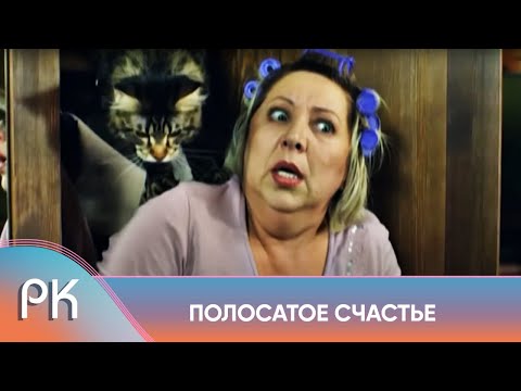 Без Кота И Жизнь Не Та! Как Один Кот Перевернул Жизнь Семьи! Полосатое Счастье. Русский Канал