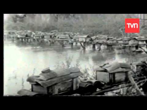 Terremoto de Valdivia - 1960 | Buenos días a todos