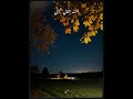 انت الغالي يا حبيبي عمرو دياب اكسبلور اغاني اغاني مصرية حالات واتس ترند لايك اشتراك تصميمي